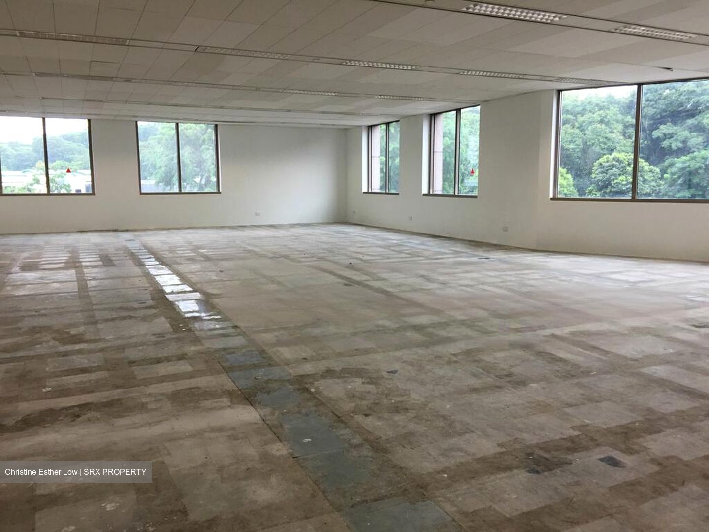 Starhub Centre (D9), Office #463365291
